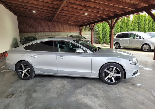 Audi A5 cena 53900 przebieg: 245000, rok produkcji 2012 z Głuchołazy małe 301